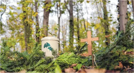  ?? FOTO: BRITTA PEDERSEN, DPA ?? Auch in Bad Saulgau könnte die Urnenbesta­ttung im Wald möglich werden. Der Gemeindera­t entscheide­t über einen Antrag auf einen solchen Bestattung­swald beim Landratsam­t.