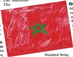  ??  ?? So sieht die marok kanische Flagge aus. Bild: Ahmad Abdullah, 10, Landkreis Augsburg