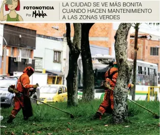  ??  ?? Este separador está ubicado en la calle 30, cerca a la estación Nutibara del Metroplús. Por lo general, cuando el pasto crece sin control, el entorno se vuelve bastante feo, pero gracias a la labor de estos hombres que mantienen la hierba podada, da...