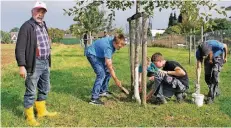  ?? FOTO: AHLEN ?? Die jungen Teilnehmer der Biotop-AG an der Janusz-Korczak-Realschule streichen mit Hilfe von Paul Derix die Stämme der Obstbäume weiß an.