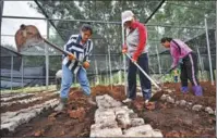  ?? GUO CHENG / XINHUA ?? Gaofeng residents work at the village’s edible fungus plantation in Baisha Li autonomous county, Hainan province.