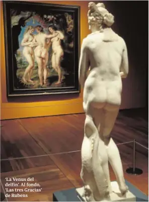  ??  ?? ‘La Venus del delfín’. Al fondo, ‘Las tres Gracias’ de Rubens