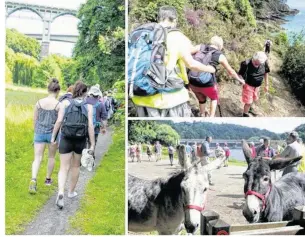  ??  ?? L’an dernier 800 marcheurs ont parcouru les sentiers côtiers et les vallées briochines, en compagnie de leurs amis aux grandes oreilles (photos d’archives).