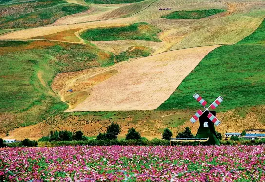  ??  ?? Paisaje de la pradera Nalati en Xinjiang.