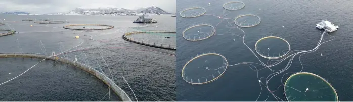  ?? ?? Aerial view shows the Oksebasen fish farm which is operated by the world’s largest producer company of Atlantic salmon Mowi, in Giske, Norway.