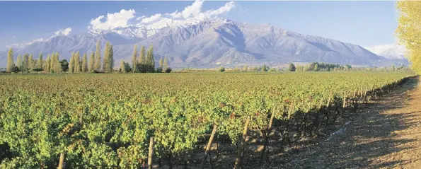  ??  ?? Below: Concha y Toro’s vineyards, situated in Puente Alto in Chile