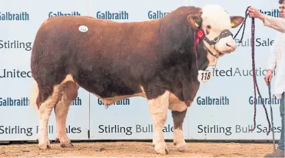  ??  ?? Simmental Finlarg Jaguar from Over Finlarg Farm, Tealing, Dundee, which sold for 10,000gn
