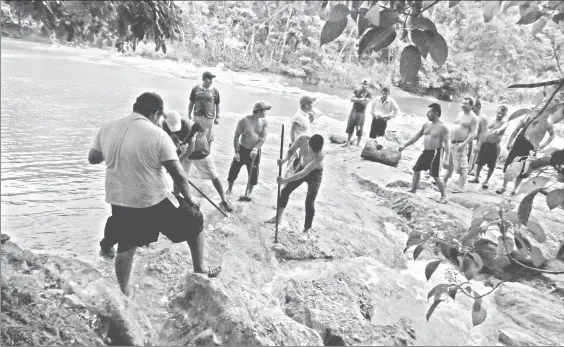  ??  ?? Habitantes del municipio chiapaneco de Tumbalá, donde se encuentran las cascadas de Agua Azul, intentan infructuos­amente desazolvar con palas y barretas la arena y piedras para redirigir el cauce del río y evitar que se seque ■ Foto Elio Henríquez