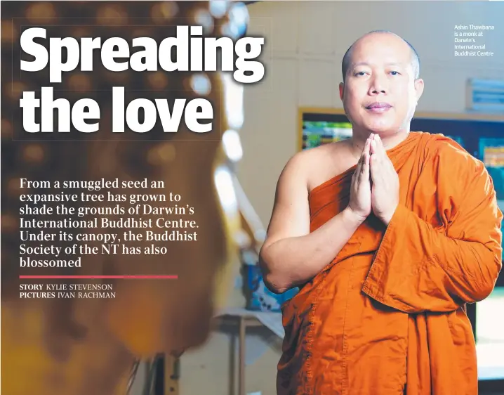  ??  ?? Ashin Thawbana is a monk at Darwin’s Internatio­nal Buddhist Centre