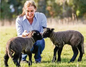  ?? PHOTOS: CHLOE SMITH ?? LOVELY LAMBS: Deva Weitman and some of her suffolk lambs. One of Deva’s ewes won the supreme short wool interbreed exhibit at Sheepventi­on last year.