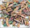  ??  ?? Replacing half of the meat eaten worldwide with crickets, mealworms can cut farmland use by a third ISTOCK