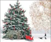  ?? AP ?? A man walks a dog through Frontier Park as snow falls in St Charles, Missouri, on Sunday.