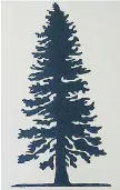  ??  ?? In addition to 150 smaller Trees of Canada paintings, Risa Horowitz created two larger tree paintings, one of which depicts a Douglas fir.