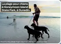  ?? PHOTO FOURNIE PAR VISIT ST. PETE/CLEARWATER ?? La plage pour chiens à Honeymoon Island State Park, à Dunedin.