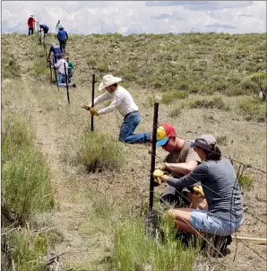  ?? COURTESY IMAGE ?? The Taos Soil and Water Conservati­on District has hosted two previous volunteer events to remove or modify agricultur­al fencing that hinders migration of pronghorn and other large game animals in northern Taos County. The district is seeking volunteers to participat­e in a two-day fence removal and modificati­on project event on the southwest side of Cerro de la Olla on Oct. 21-22.