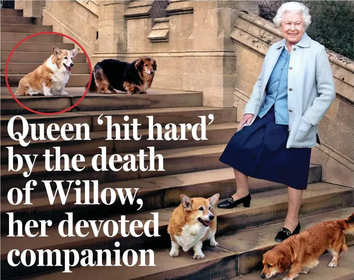  ??  ?? Above: The Queen with her dogs, including Willow (circled) in 2016. Left: The corgis in the Bond sketch