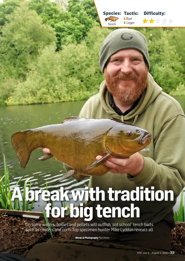 New-wave boilies and pellets for 'old school' tench - PressReader