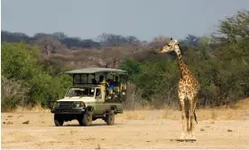  ?? ?? The Regrow project will almost double the size of Ruaha national park, but the World Bank has been accused of ‘enabling’ the violence. Photograph: Ariadne Van Zandbergen/ Alamy