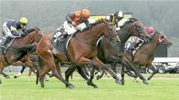  ?? TRISH DUNNELL ?? Perfect Start (far side) comes up ever so short in the Wellington Cup for third behind the Awapuni pair Savaria (middle) and Jacksstar.