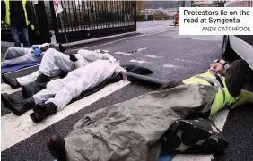  ??  ?? Protestors lie on the road at Syngenta
ANDY CATCHPOOL