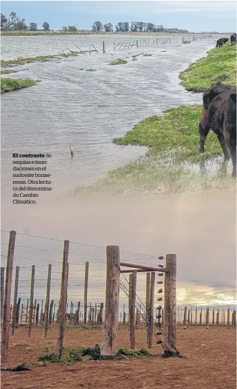  ??  ?? de sequías e inundacion­es en el sudoeste bonaerense. Otra lectura del denominado Cambio Climático.