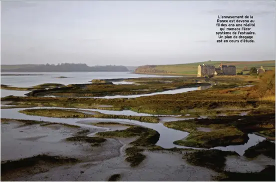  ??  ?? L’envasement de la Rance est devenu au fil des ans une réalité qui menace l’écosystème de l’estuaire. Un plan de dragage est en cours d’étude.