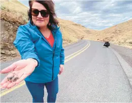  ?? CLAIRE RUSH/AP ?? April Aamodt holds a Mormon cricket as Oregon State University Extension Agent Jordan Maley, right, examines a road on June 17 in Blalock Canyon near Arlington, Oregon. Both are involved in local outreach for Mormon cricket surveying.