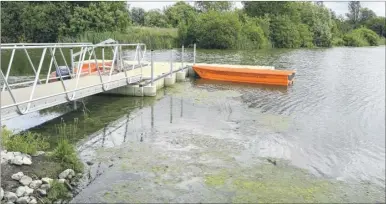  ?? Picture: Paul Amos FM4383391 ?? The lake at Conningbro­ok, closed due to blue-green algae problems