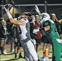  ?? VINCENT D. JOHNSON/DAILY SOUTHTOWN ?? Brother Rice’s Dylan Summers, left, hauls in his third touchdown catch of the game against Providence on Friday.