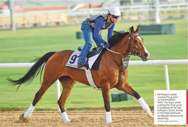  ?? Virendra Saklani/Gulf News ?? RB Madymoisel­le wowed the guests at the Breakfast With The Stars while putting the final yards in preparatio­n for the Kahayla Classic during a morning trackwork at Meydan Racecourse yesterday.