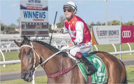  ?? Photo; Nev Madsen ?? DETERMINED: Wapiti and jockey Taylor Marshall return to scale after winning the Toowoomba Cup.