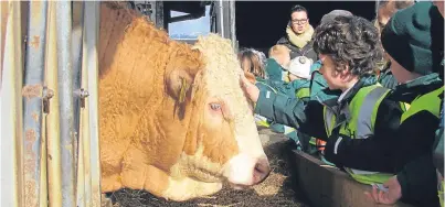  ?? Picture: Nancy Nicolson. ?? Youngsters at an RHET-organised visit to Dargill Farm, Crieff.