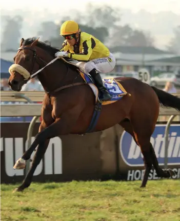  ??  ?? MAKING A POINT. Last Winter will not take his place on Saturday’s Grade 2 World Sports Betting Green Point Stakes over 1600m and will go for the Premier Trophy on 16 December.