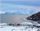  ?? MICHALEA KING/OHIO STATE UNIVERSITY ?? Icebergs near Greenland form from ice that has broken off from glaciers on the island. A new study shows that the glaciers are losing ice rapidly enough that, even if global warming were to stop, Greenland’s glaciers would continue to shrink.