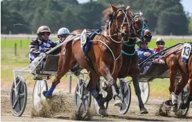  ?? Photo / Harness Racing Victoria ?? Empire City is the new apple of Phil Williamson eye.