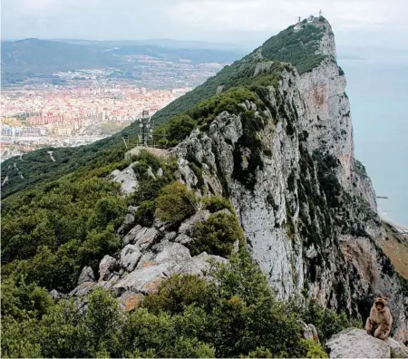  ?? BRIAN WITTE/AP PHOTOS ?? A Barbary macaque, lower right, takes a rest with the Rock of Gibraltar looming in the background. The port town is steeped in military history.