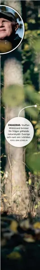  ?? FOTO: ERIK LEJDELIN ?? ENGAGERAD. Staffan Widstrand brinner för frågor gällande naturskydd i Sverige och runt om i världen.