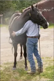  ??  ?? My horse is my therapist.