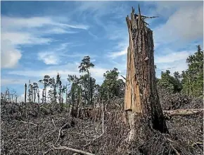  ?? GETTY IMAGES ?? Animal farming is one of the leading causes of deforestat­ion around the world.