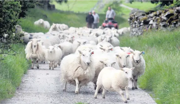  ?? Arwyn Roberts ?? > ‘Farmers across Wales are contributi­ng to the economic, environmen­tal, social and cultural wellbeing of Wales on many levels...’