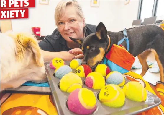  ?? Picture: ALAN BARBER ?? Geelong dog trainer Lisa Blackwell keeps puppies Leo and Molly entertaine­d.