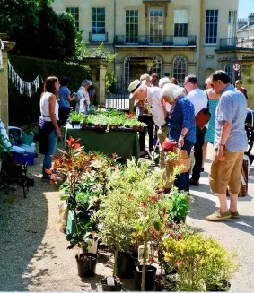  ?? Pics: Jonathan Davis ?? The plant sale at the Holburne Museum is back in May