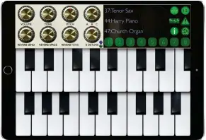  ??  ?? A Mellotron on your iPad can bring all that 60s psychedeli­a flooding back to your touch device