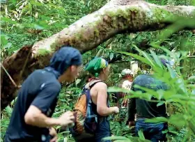  ??  ?? Profondo verdeUna escursione di gruppo in Amazzonia