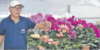  ??  ?? Un integrante de la Misión Técnica de Taiwán, explicando las bondades que tiene el cultivo de orquídeas y los beneficios que aportaría.