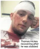  ??  ?? Thomas Hickey recovering after he was stabbed