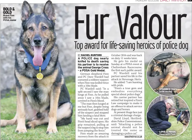  ??  ?? BOLD & GOLD Brave Finn with his PDSA medal STABBED Dog’s knife wound LOVE & PRIDE Dave with Finn