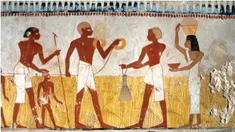  ??  ?? Pintura mural de la tumba de Menna (escriba del faraón Tutmosis IV) en la que se representa a un agrimensor que mide un maizal en presencia del propietari­o y de su esposa.