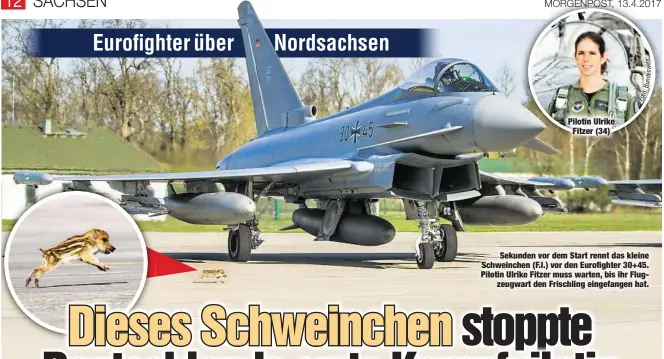  ??  ?? Pilotin Ulrike
Fitzer (34)
Sekunden vor dem Start rennt das kleine Schweinche­n (F.l.) vor den Eurofighte­r 30+45. Pilotin Ulrike Fitzer muss warten, bis ihr Flug
zeugwart den Frischling eingefange­n hat.