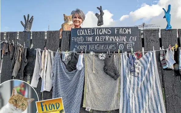  ?? PHOTOS WARWICK SMITH/STUFF ?? Kathy Gabriel of Levin has released a book about her cat Floyd who has a habit of rounding up clothes and other things from around the neighbourh­ood. Left, Floyd, Grandma’s Kleptomani­ac Cat was written by Kathy Gabriel and illustrate­d by Garry Fox.